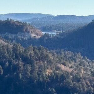 Meet your Posher, Priscilla